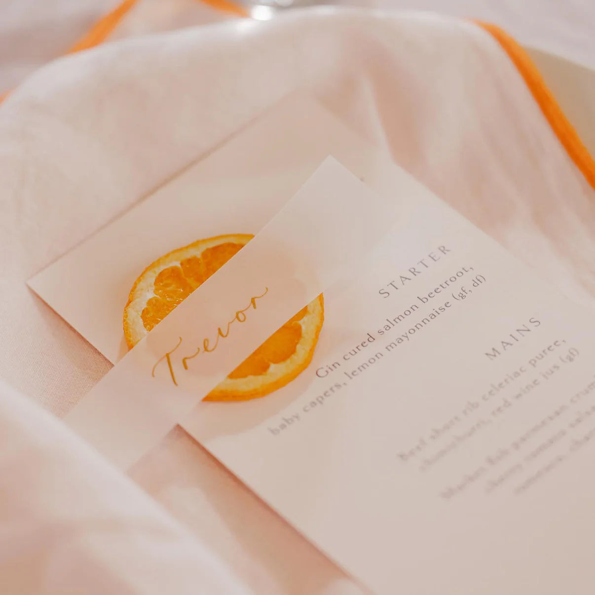 FN Lemons - Dried Orange Garnish - 8 slice pouch