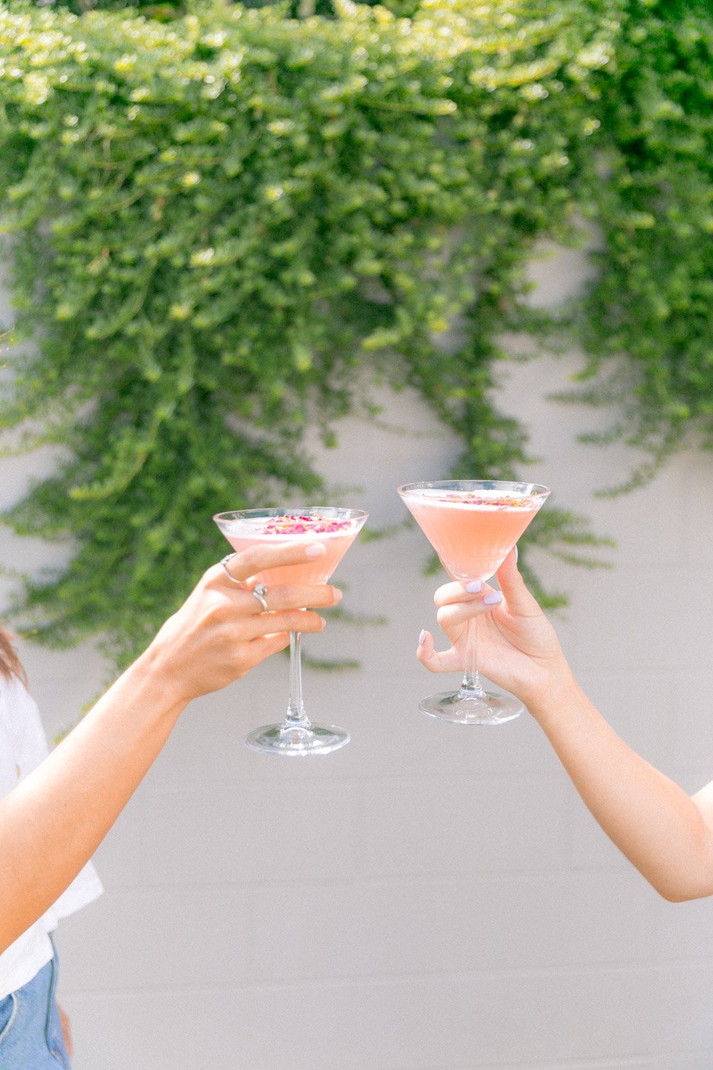 Cosmopolitan Cocktail Mixer