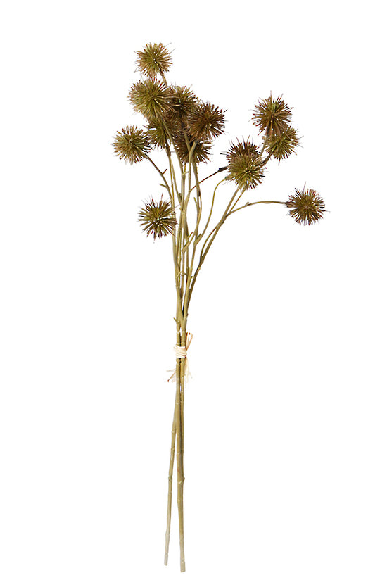 Sweet Chestnut Pod Bundle Brown