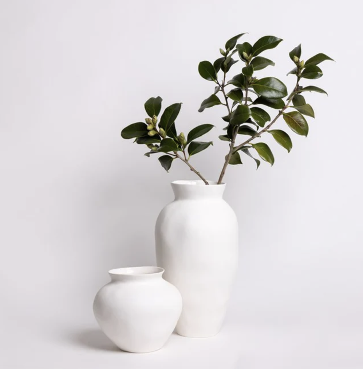 Venus Vase - Small