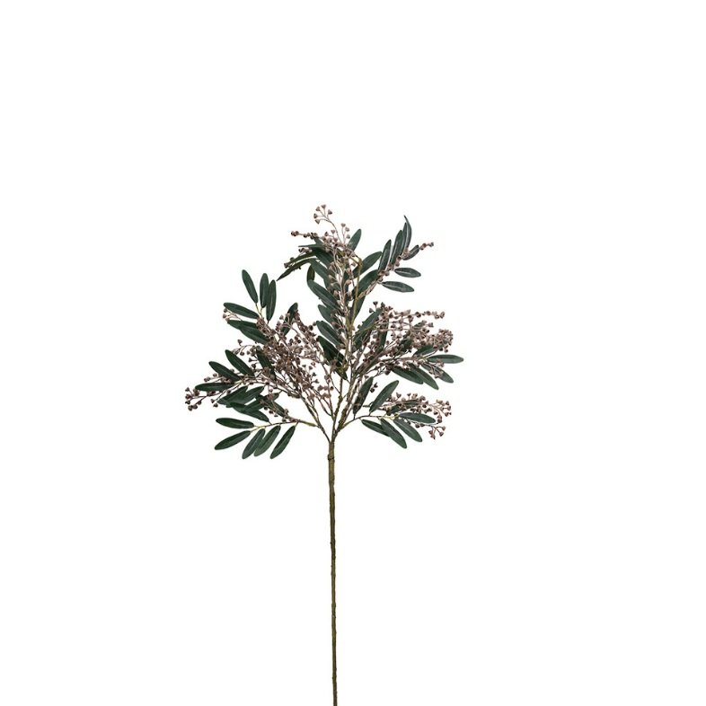 Angrophora Gum Branch 93cm