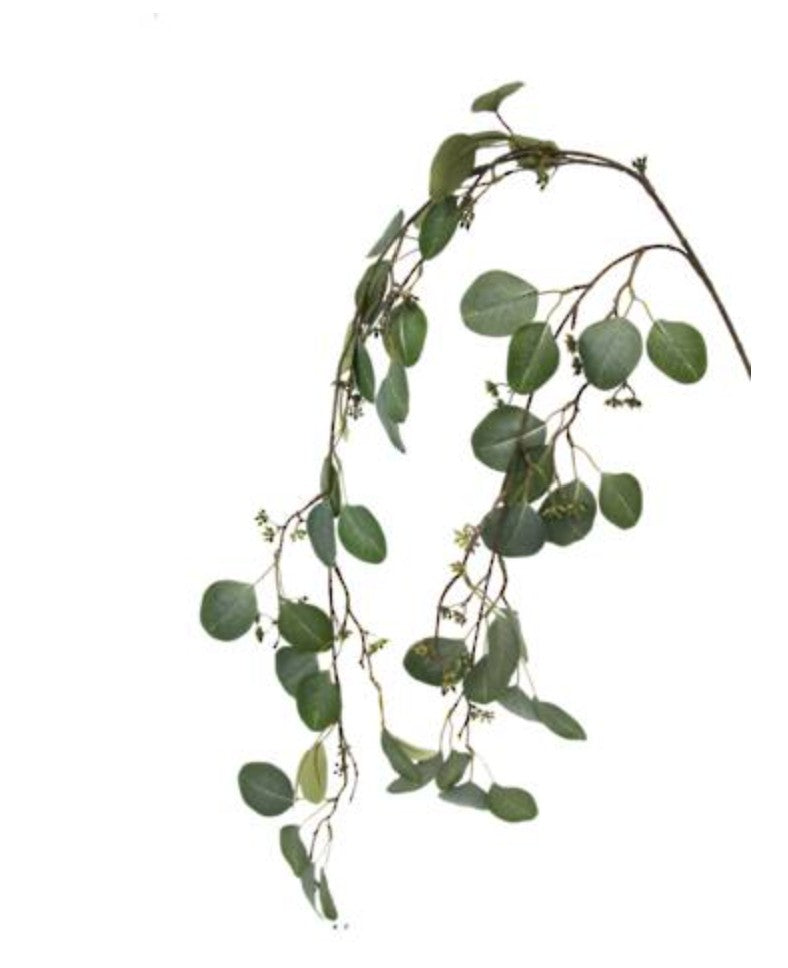 Gunni Eucalyptus Hanging Trail