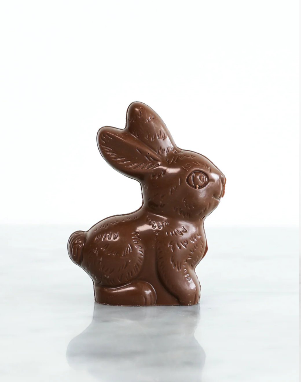 Milk Chocolate Bunny