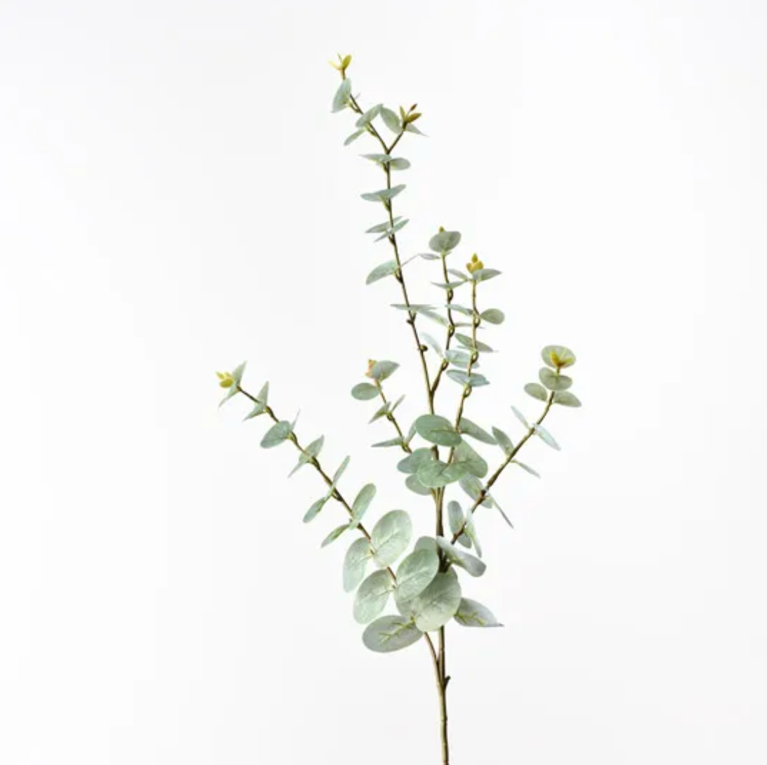 Eucalyptus Spray