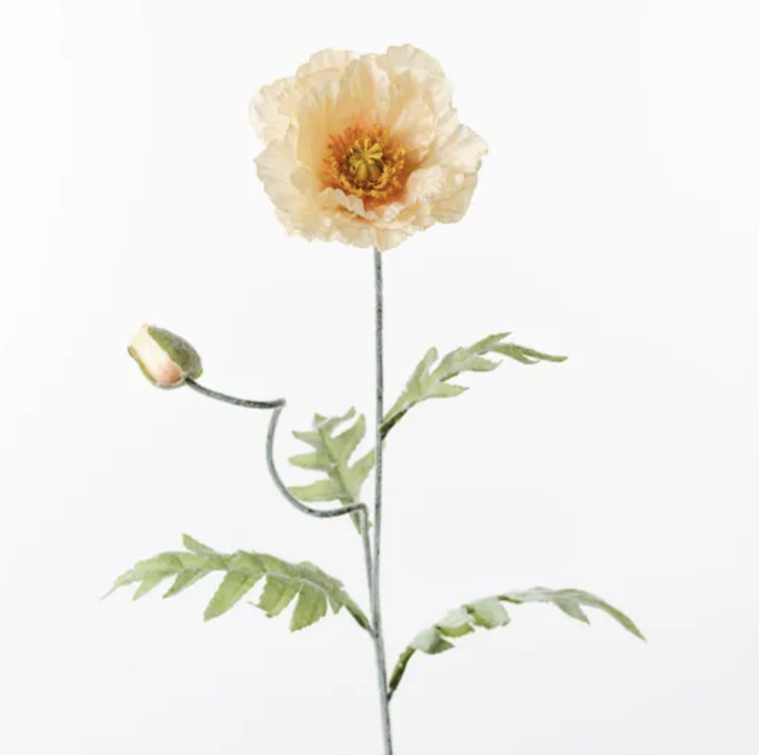 Poppy Iceland Spray