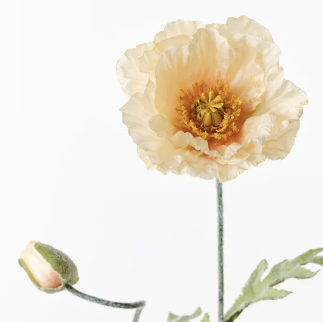 Poppy Iceland Spray