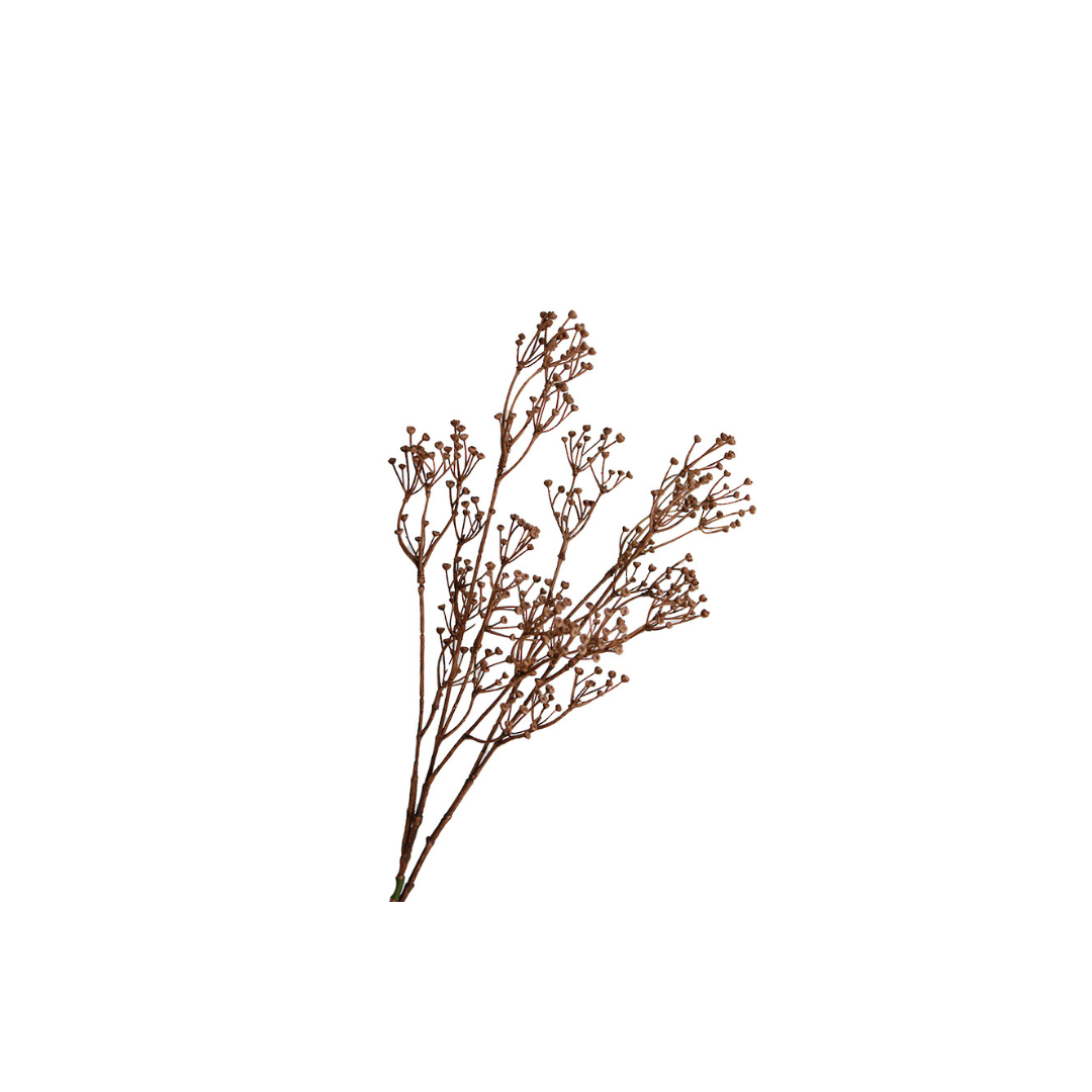 Talinum Spray 79cm